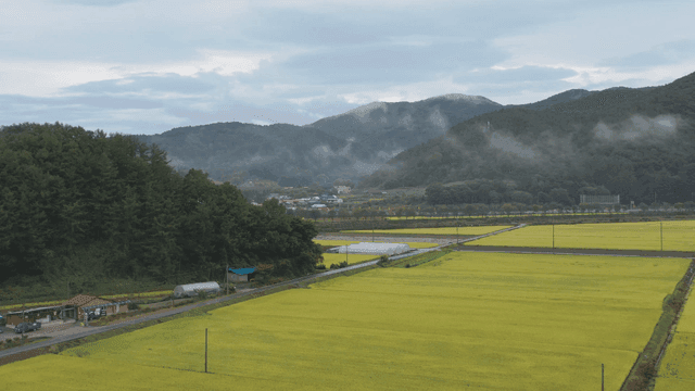 평화로운 시골 풍경과 들판