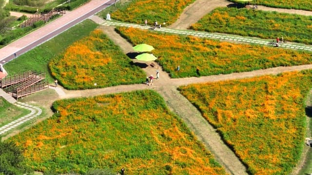 산책로가 있는 화려한 꽃밭