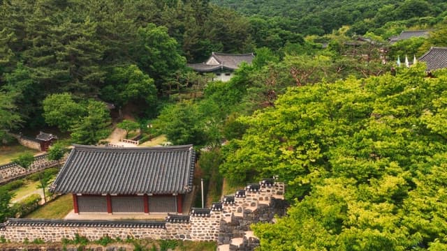 푸른 나무로 둘러싸인 한국 전통 가옥