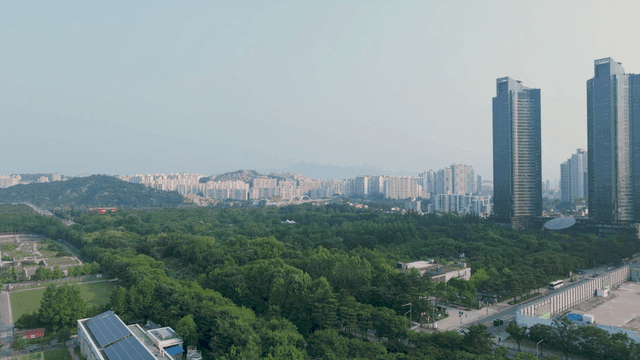 서울 고층 건물들 사이의 푸른 숲