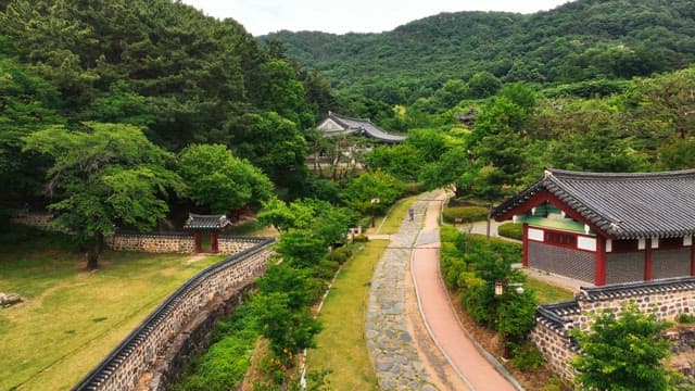 Traditional Korean house surrounded by green trees