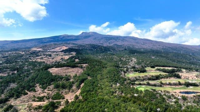 산과 숲이 있는 광활한 풍경