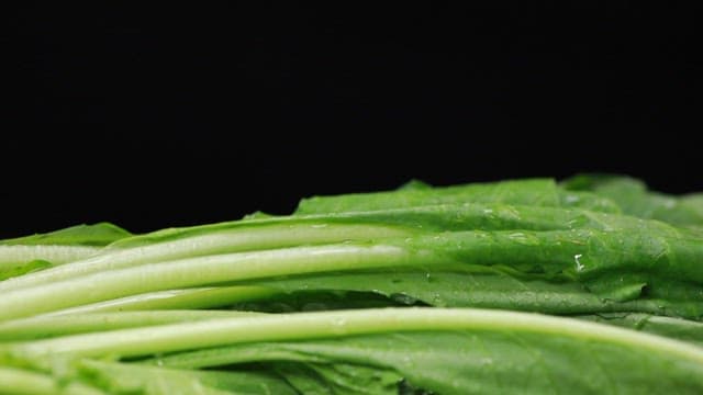 신선한 열무로 만든 시원한 물김치