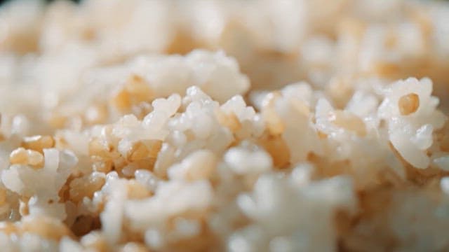 반짝이고 촉촉한 현미밥