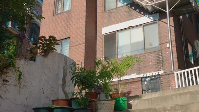 햇살이 비치는 계단을 내려오는 커플