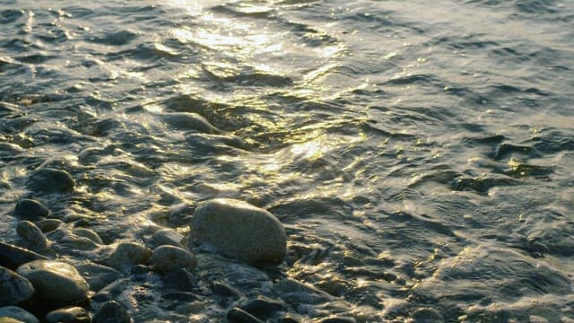 해질녘 바닷가의 매끄러운 조약돌에 비치는 햇빛