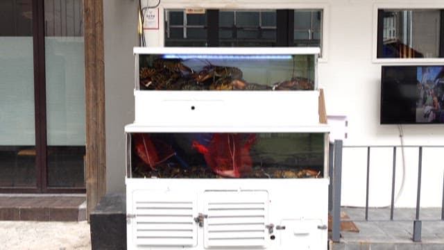 Fresh seafood displayed in front of a store