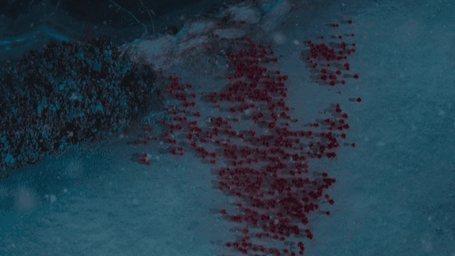 눈 위에 빨간 꽃잎과 함께 걷는 사람