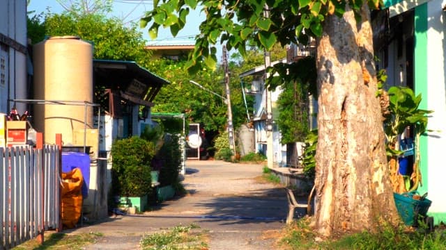 Small alley with trees and houses on a sunny day