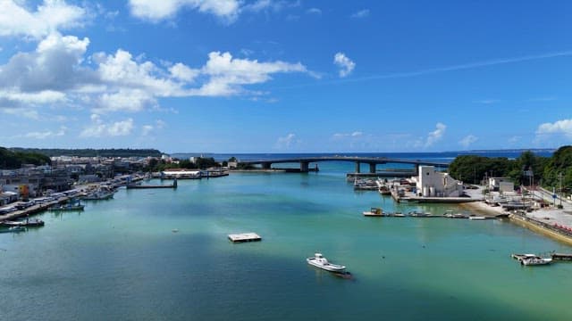 해안 다리와 항구의 경치