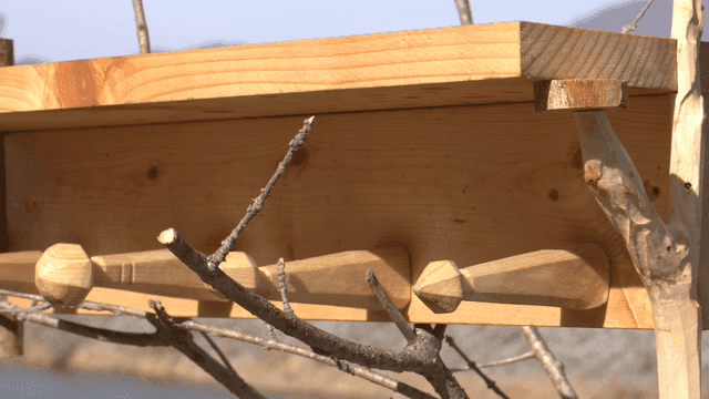 나뭇가지에 있는 나무 거치대 선반