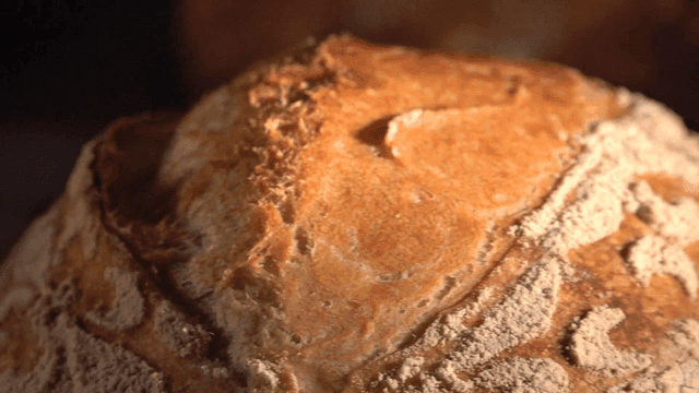 Freshly baked steaming campagne bread in oven