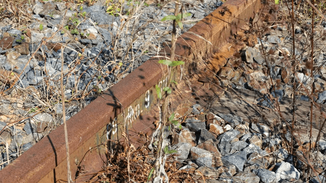 야생 식물이 자라는 오래된 철도