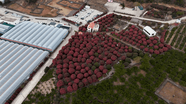 Aerial view of farm with greenhouse full of flowers