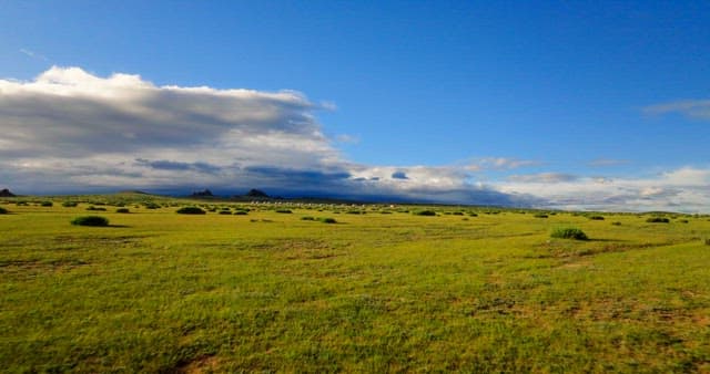 Expansive green field under a cloudy sky