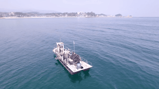 고요한 바다 위의 다이버들이 탄 보트