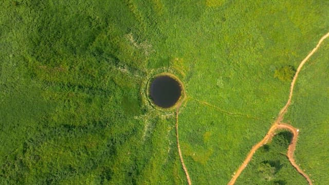 Small lake surrounded by lush greenery