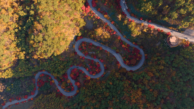 알록달록한 가을 숲을 지나는 비틀린 도로