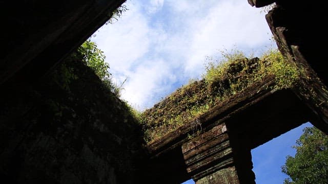 Ancient ruins with overgrown plants