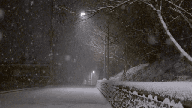 Snowy night street with falling snowflakes