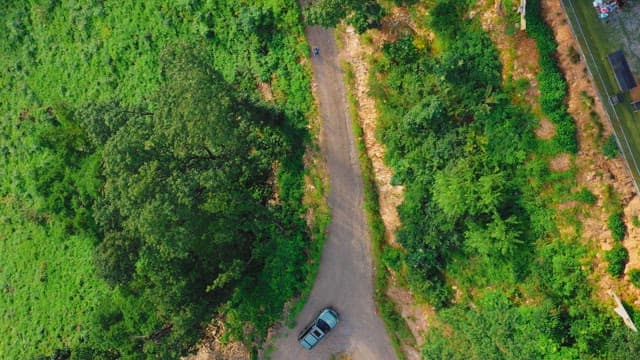 Aerial View of Car Passing Through a Forest Road