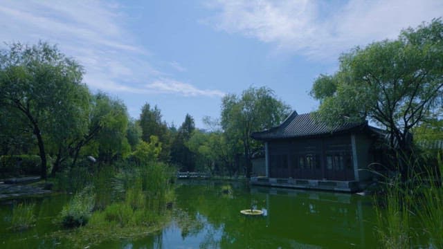 평화로운 전통 정원과 연못