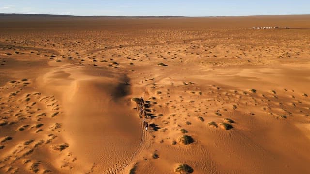 People riding camels in the desert