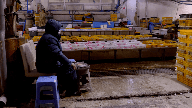 Person sitting in fish market