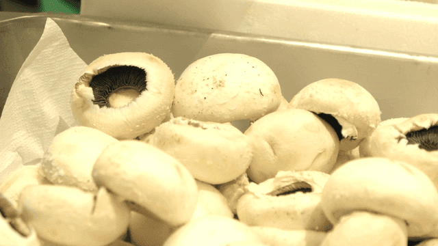 Fresh white oyster mushrooms in container