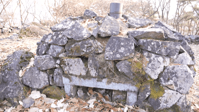 Pile of stones in forest