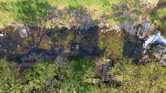 Tranquil riverside with lush greenery