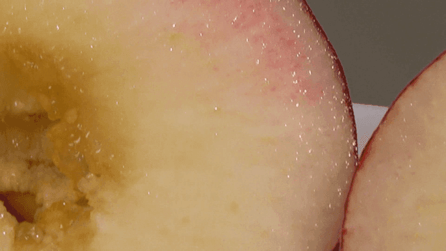 신선한 복숭아 조각의 단면