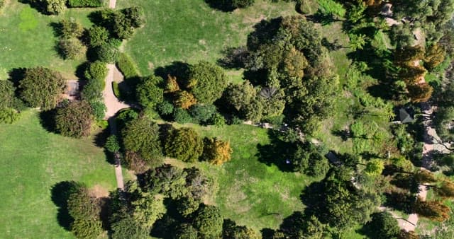 View of a lush green park with trees