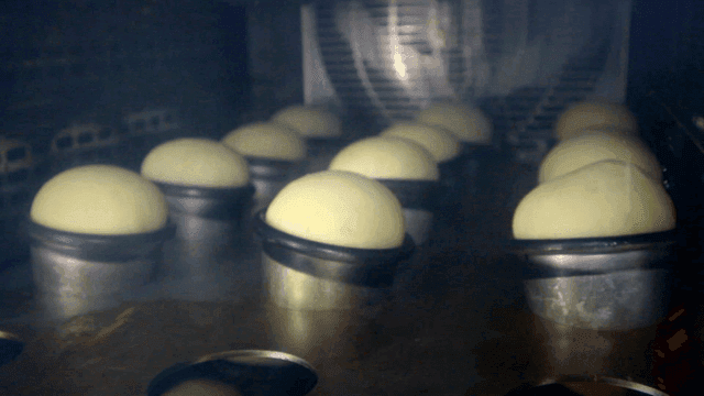 오픈에서 빵이 구워지는 장면