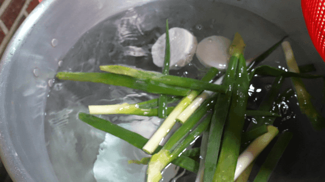 Green onions and radish in large pot