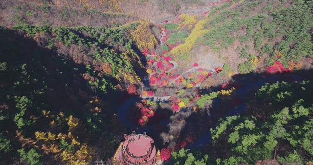 다채로운 가을 언덕과 구불거리는 도로 전망대 풍경