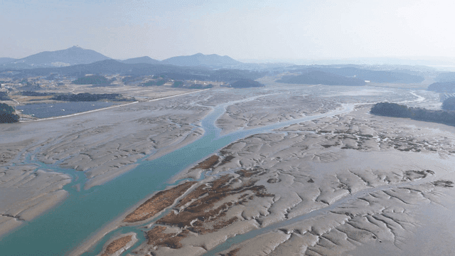 Wide mudflat with winding waterways