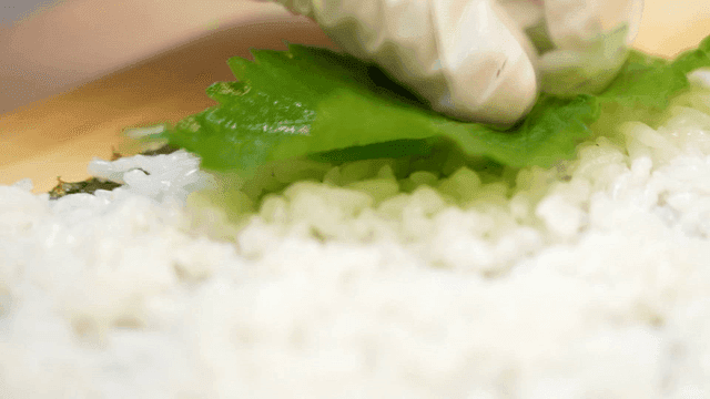 김 위에 밥에 올라가는 신선한 깻잎들