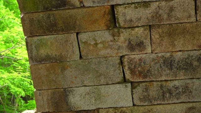 나뭇잎이 무성한 숲속의 오래된 돌다리 하부구조