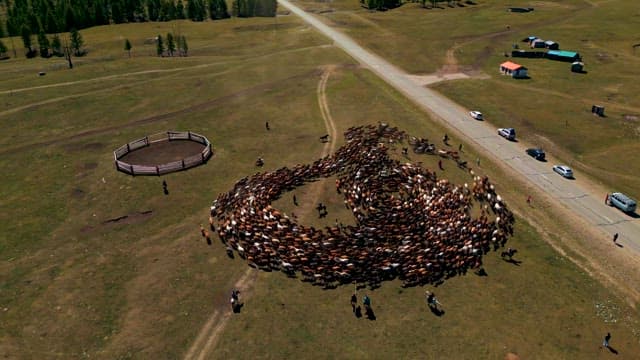 양치기들이 양 떼를 몰고 있는 모습