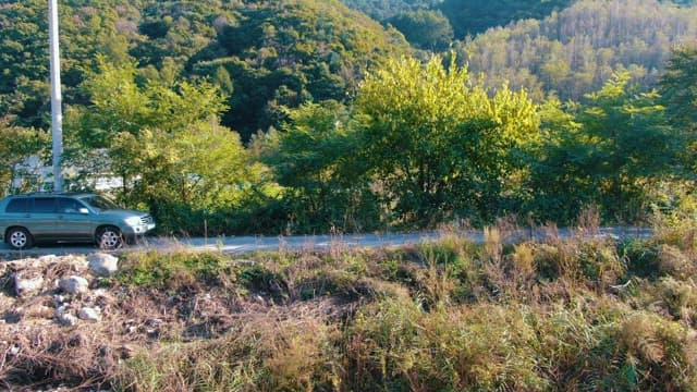 SUV passing through roadside in countryside