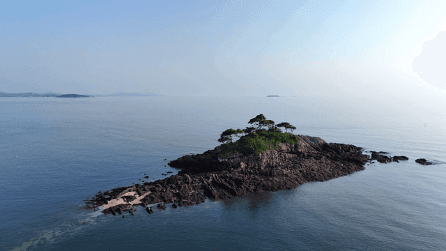 바다에 나무가 있는 작은 바위섬