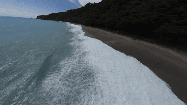A serene beach with lush green forest