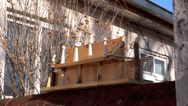 겨울 앙상한 나무 앞 벽 위에 있는 나무 선반들