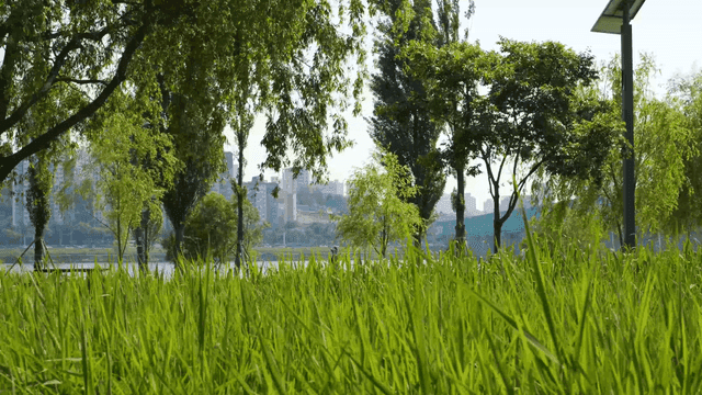 Riverside park with green spaces and city views
