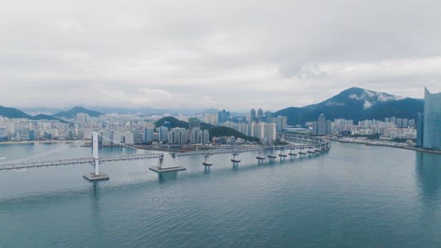 높은 건물과 긴 다리가 보이는 광활한 바다