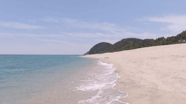 A serene beach with gentle waves
