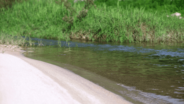 푸른 초목 옆으로 흐르는 고요한 강