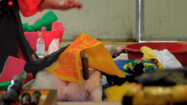 Person who performs a shamanic ritual by sticking a knife into pig