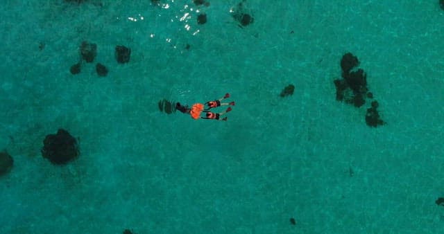 People Snorkeling in Clear Blue Sea
